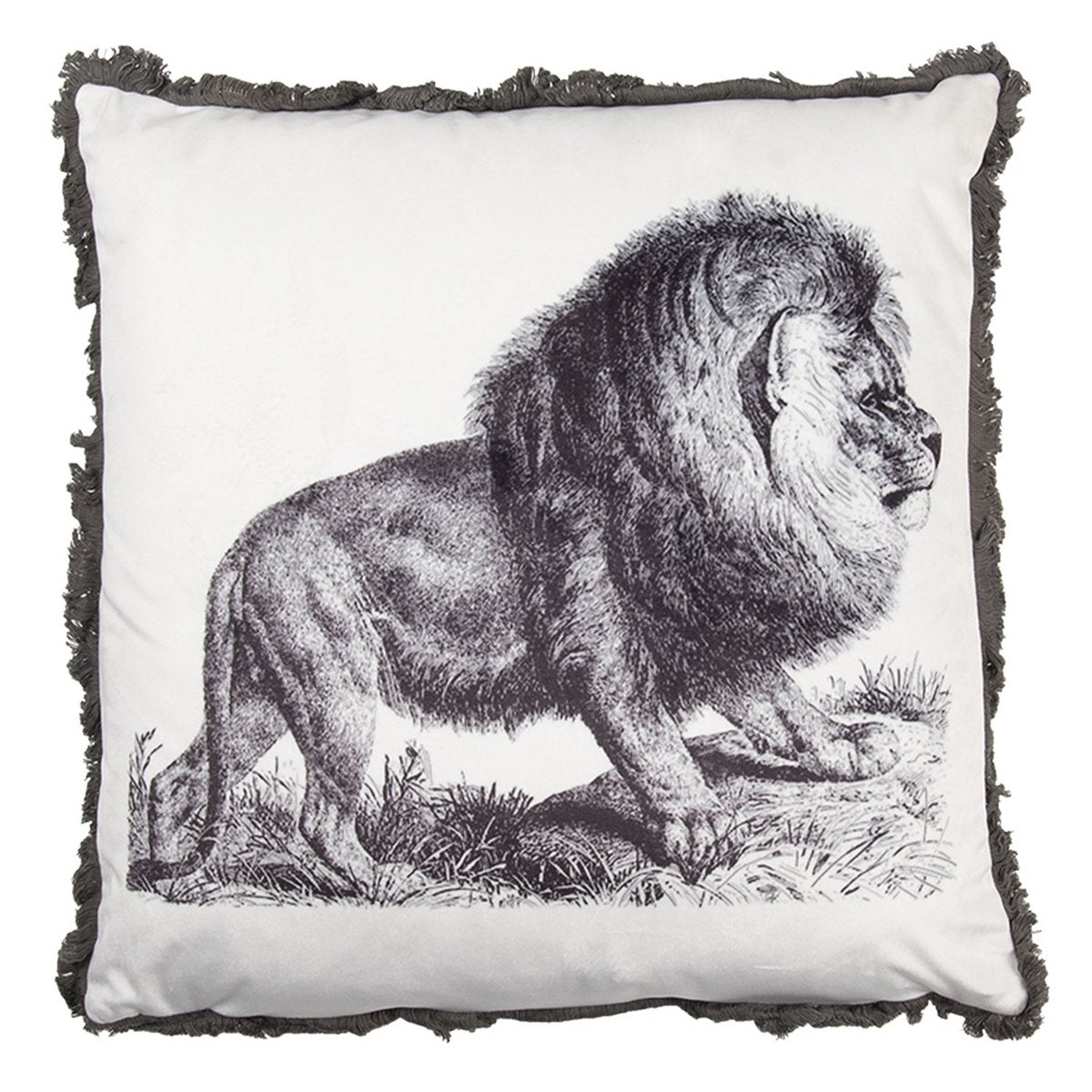 Coussin décoratif