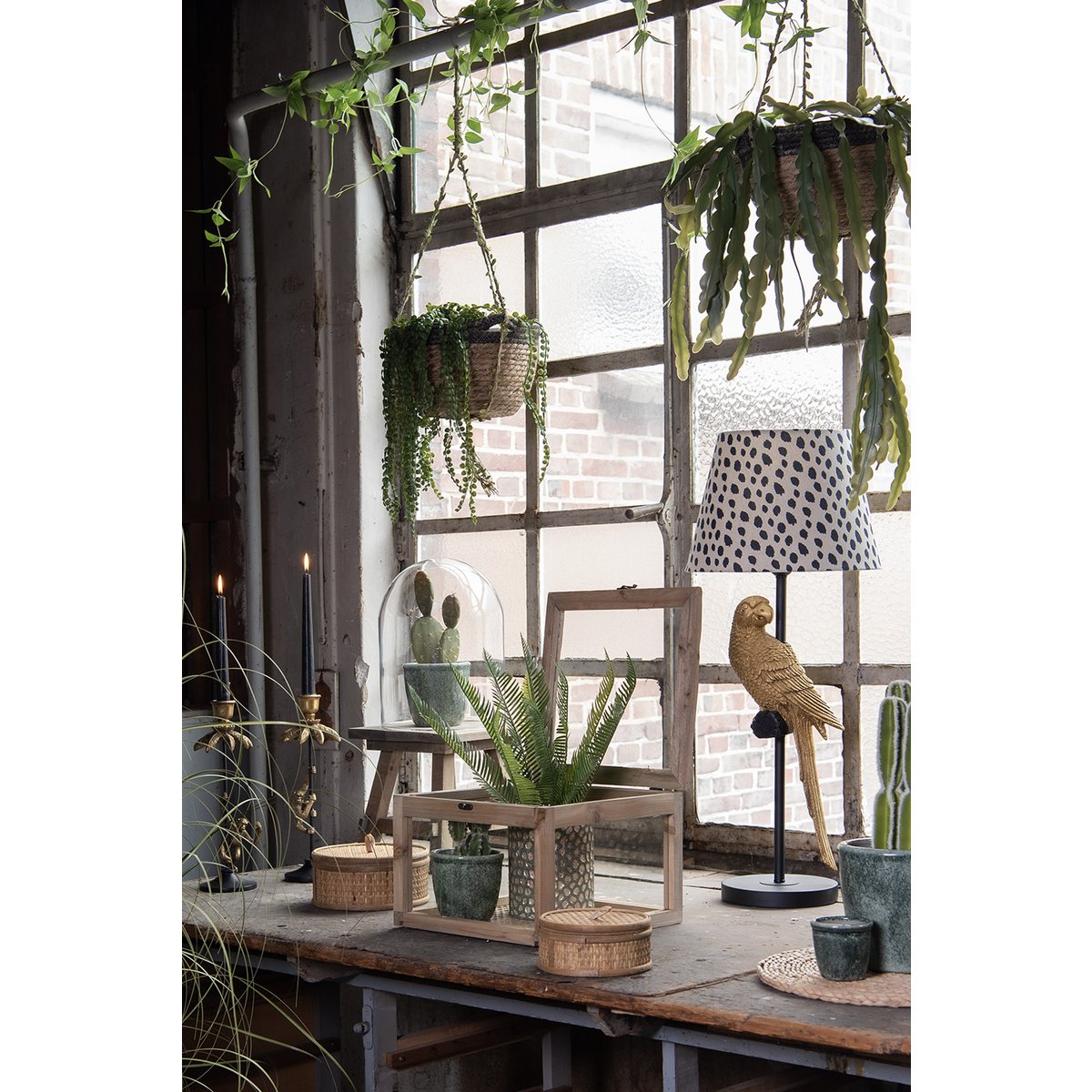 Lampe à poser Perroquet