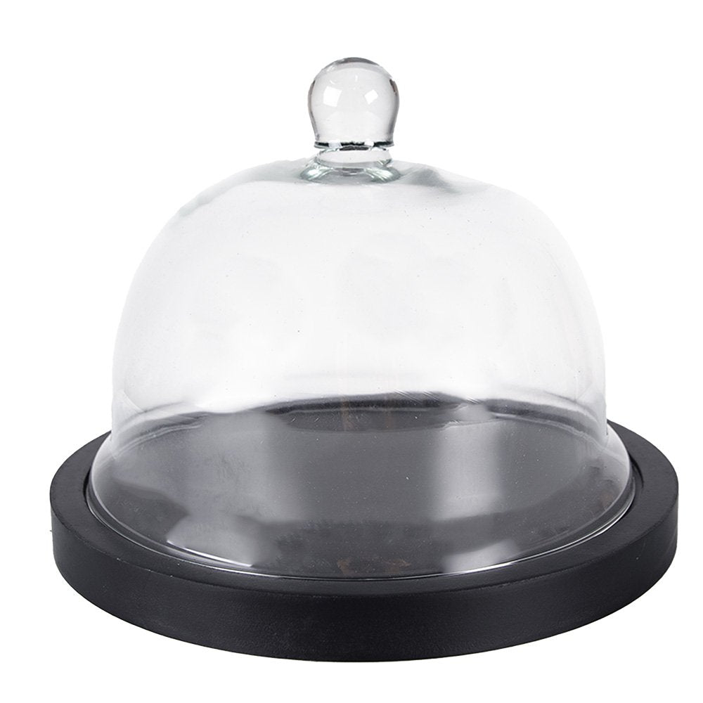 Cloche en verre et Socle Noir