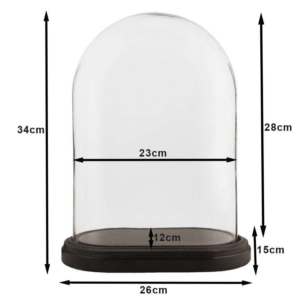 Cloche en verre